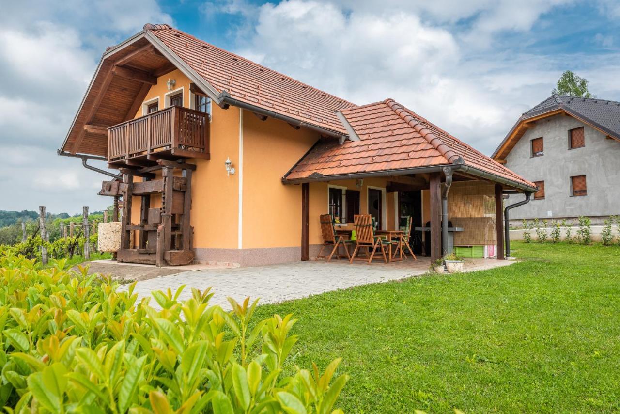 Wineyard Getaway House Villa Sevnica Exterior photo